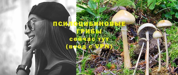 тгк Краснослободск