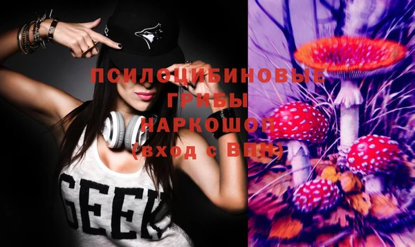 тгк Краснослободск