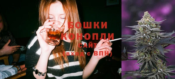 тгк Краснослободск