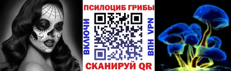 Купить закладки Власиха Галлюциногенные грибы Cubensis